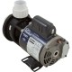 Pump, Circ, Gecko Aqua Flo CMCP, 1/15hp, 230v, 1-1/2", OEM : 02593001-2010