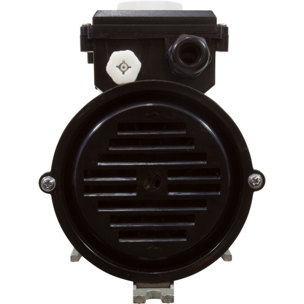 Pump, Bath, LX WCH, 9.0A, 115v, 1.5", w/Air Switch : WCH150
