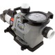 Pump, Waterway Power Defender PD-110, 1.1hp, 115/230v, 1-Spd : PD-110