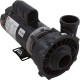 Pump, WW Exec, 1.5SPL, 115v, 2-Spd, 48fr, 2", OEM : 3420610-1A