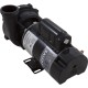 Pump, WW Exec, 1.5SPL, 115v, 2-Spd, 48fr, 2", OEM : 3420610-1A