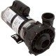 Pump, WW Exec, 2.0hp, 230v, 2-Spd, 48fr, 2", OEM : 3420820-1A