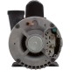 Pump, WW Exec, 3.0hp, 230v, 1-Spd, 56fr, 2", OEM : 3711221-1D