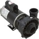 Pump, WW Exec, 4.0hp, 230v, 1-Spd, 56fr, 2", OEM : 3711621-1D