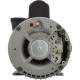 Pump, WW Exec, 4.0hp, 230v, 1-Spd, 56fr, 2", OEM : 3711621-1D