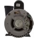 Pump, WW Exec, 4.0hp, 230v, 1-Spd, 56fr, 2-1/2" x 2", OEM : 3711621-13