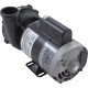Pump, WW Exec, 2.0hp, 230v, 2-Spd, 56fr, 2-1/2" x 2", OEM : 3720821-13