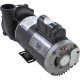 Pump, WW Exec, 5.0hp, 230v, 2-Spd, 56fr, 2-1/2" x 2", OEM : 3722021-13