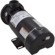 Pump, WW E-Series, 0.75hp, 115v, 2-Spd, 48fr, 1-1/2", OEM : 3420310-15