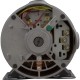 Pump, WW E-Series, 0.75hp, 115v, 2-Spd, 48fr, 1-1/2", OEM : 3420310-15