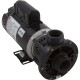 Pump, WW E-Series, 1.5SPL, 115v, 2-Spd, 48fr, 1-1/2", OEM : 3420610-15