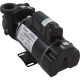 Pump, WW Hi-Flo, 1.5SPL, 115v, 2-Spd, 48fr, 2", OEM : 3420610-10