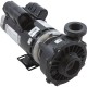 Pump, WW Hi-Flo, 4.0SPL, 230v, 2-Spd, 48fr, 2", OEM : 3421621-10