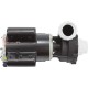 Pump, LX 48WUA, 1.0hp, 115v, 2-Spd, 48Fr, 2" : 48WUA1001C-II