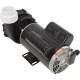 Pump, LX 48WUA, 1.5hp, 230v, 2-Spd, 48Fr, 2" : 48WUA1502C-II