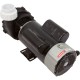 Pump, LX 48WUA, 2.0hp, 230v, 2-Spd, 48Fr, 2" : 48WUA2002C-II