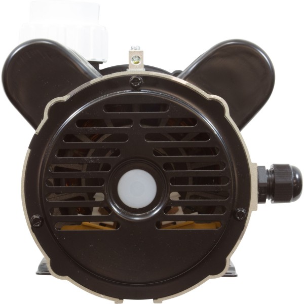 Pump, LX 48WUA, 2.0hp, 230v, 2-Spd, 48Fr, 2" : 48WUA2002C-II