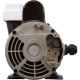Pump, LX 48WUA, 2.0hp, 230v, 1-Spd, 48Fr, 2" : 48WUA2002C-I