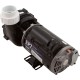Pump, AquaFlo XP2, 1.0 OPhp/1.5hp 115v, 2-Spd, 48fr, 2", OEM : 06610006-2040
