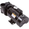 Pump, Aqua Flo XP2, 1.0hp Century, 115v, 2-Speed, 48 Frame, 2" :