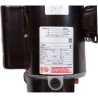 Pump, Aqua Flo XP2, 1.0hp Century, 115v, 2-Speed, 48 Frame, 2" :
