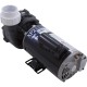 Pump, Aqua Flo XP2, 1.5hp, 115v, 2-Spd, 48fr, 2", OEM : 06115000-1040