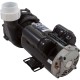 Pump, Aqua Flo XP2, 2.0hp, 230v, 2-Spd, 48fr, 2", OEM : 06120500-2040