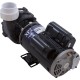 Pump, Aqua Flo XP2, 2.5hp, 230v, 2-Spd, 48fr, 2", OEM : 06125000-1040