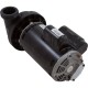 Pump, BWG, 2-Spd, 2.5hp, 230v, 60Hz, OEM : 6500-343