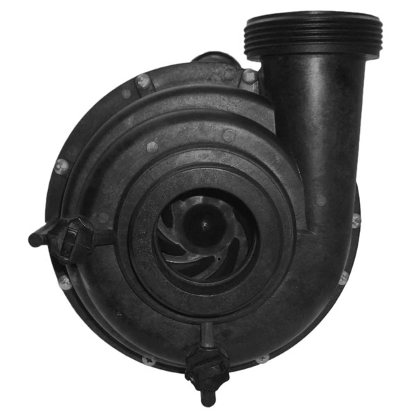 Pump, Sundance Theramax SD, 2.5hp, 230v, 1-Spd, 2", Bracketless : 4234110-S