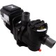 Pump, Speck Badu Pro-IV, 2.25hp, 230v, Var-Spd, IG : IG385-V225T-TUS