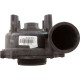 Wet End, WW Executive 5.0hp 2-1/2"mbt x 2"mbt 56fr : 310-1510