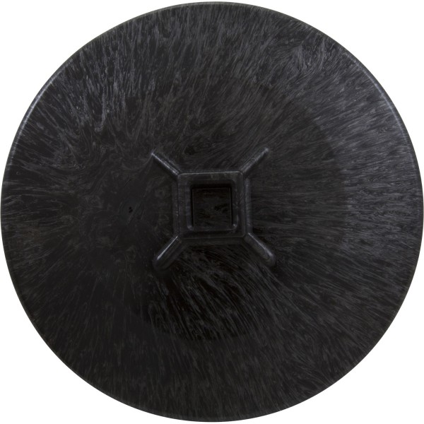 Tool, Waterway 5.5" Top Load Filter : 218-3700