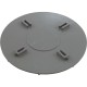 Diverter Plate, Dyna-Flo T/M Skim Filter : 519-2687