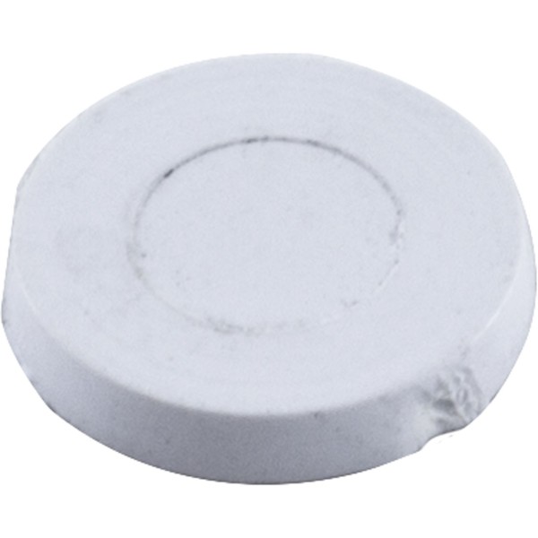 Screw Hole Plug, Pentair Rainbow DSF/Safety Skimmer, White : R172605
