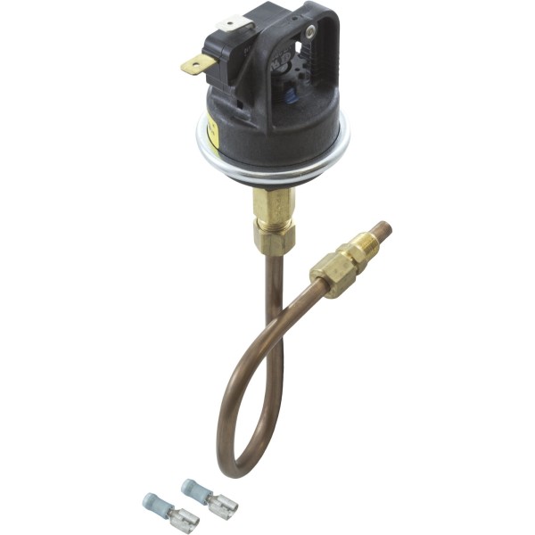 Pressure Switch, Raypak 53A, with Tubing : 003651F