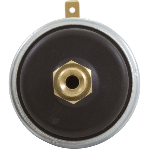 Pressure Switch, Zodiac Laars Hot Shot, 2psi : R0013200