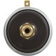 Pressure Switch, Zodiac Laars Hot Shot, 2psi : R0013200