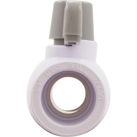 Ball Valve (3/4In S, No Union, No Nsf) : 25800-751-000