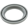 Cap, Diverter Valve Fount : 7000-09