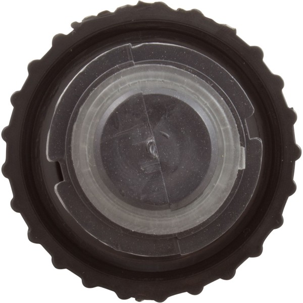 Plunger & Cap Assy, Waterway, 1" On/Off Valve : 605-4370