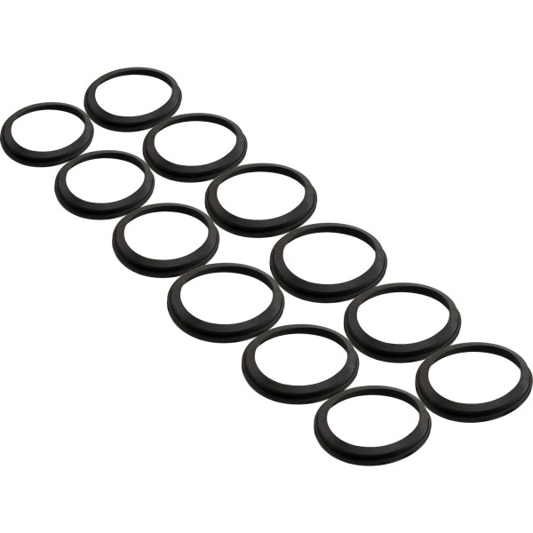 Seal, 12 Pack, Magic Plastics 2" Gate Valve : 0080301020-12