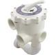 Multi-Port 2In Fpt Valve White S/M Sand : 27505-200-000