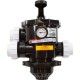 MPV, Pentair 2" Top Mount Hybrid, 6 Pos, Clamp-On, w/Fittings : 262525
