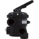 MPV, Astral Sand Filter, 1-1/2", Side Mount, 6 Position : 22355