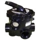 Multiport Valve, Astral 2" Side Mount Valve Model 09848 : 09848