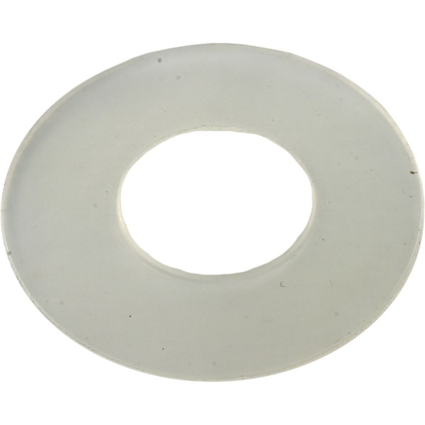 Washer, Pentair American Products 1-1/2" Side Mount Valve : 51008800