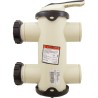 Backwash Valve, Pentair FullFloXF, w/2" Unions : 263080