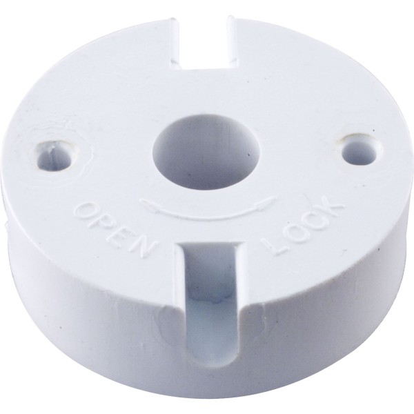 Plug, Pentair PacFab 2" PVC Slide Valve : 273077