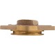 Piston Cap, Val-Pak, Generic, Anthony, Valve, 1.5" Brass : V34-152